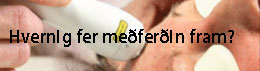 medferdin